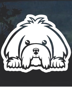 Maltese Peeking Window Decal Sticker