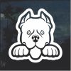 Pit bull Peeking Dog Window Decal Sticker
