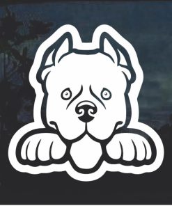 Pit bull Peeking Dog Window Decal Sticker