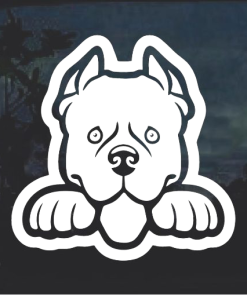 Pit bull Pitbull Peeking Window Decal Sticker