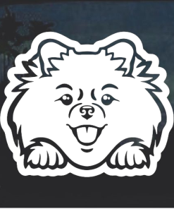 Pomeranian Peeking Window Decal Sticker
