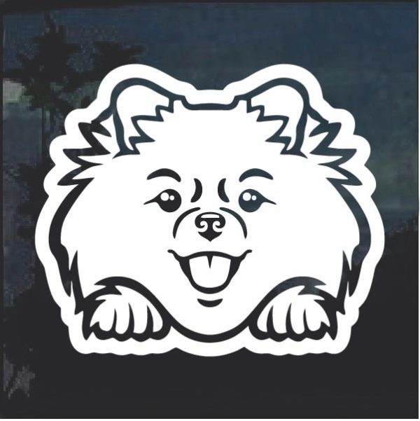 Pomeranian Peeking Dog Window Decal Sticker
