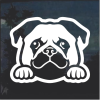 Pug Peeking Window Decal Sticker