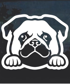 Pug Peeking Window Decal Sticker