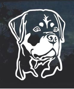 Rottweiler Rottie Head Window Decal Sticker