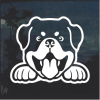 Rottweiler Peeking Window Decal Sticker