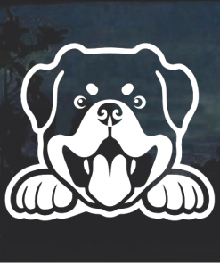 Rottweiler Peeking Window Decal Sticker