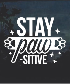 Stay Paw SITIVE Window Decal Sticker