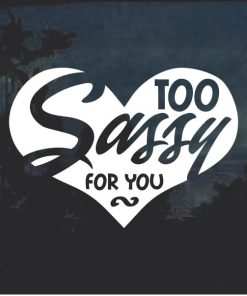 Too Sassy For you Heart Window Decal Sticker