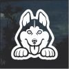 Husky Peeking Dog Window Decal Sticker