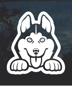 Husky Peeking Window Decal Sticker
