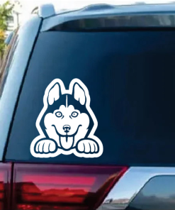 Husky Peeking Window Decal Sticker