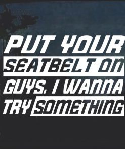 Put your seat belt on I wanna try something decal sticker