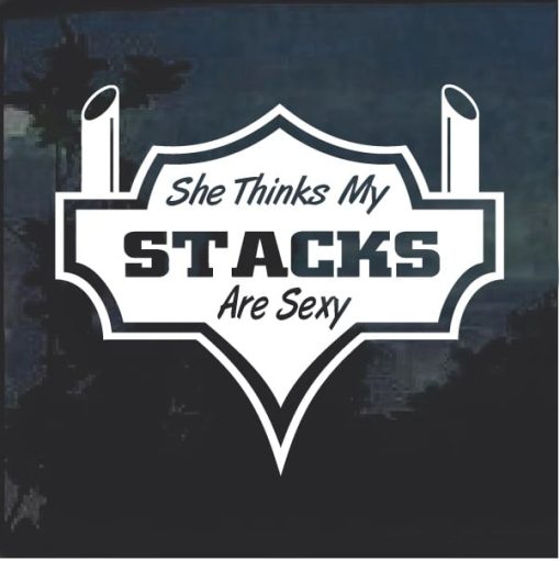 She Thinks My Stacks Are Sexy v2 Window Decal Sticker