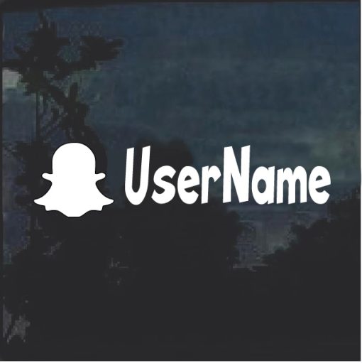 Snapchat Username Logo Single Color window Decal Sticker