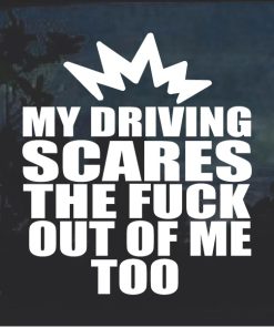 My driving scares the fuck out of me too