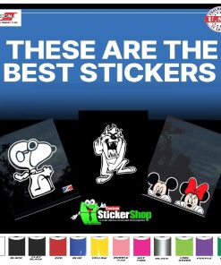 Cartoon Decal Stickers 