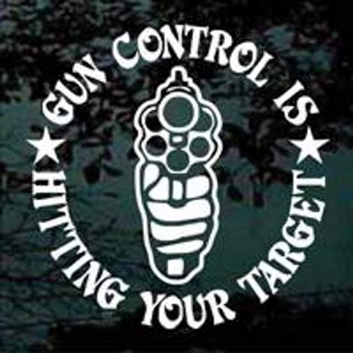 Gun Control hitting your target decal sticker