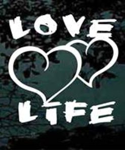 Love Life hearts decal sticker