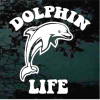 Dolphin Life window decal Sticker