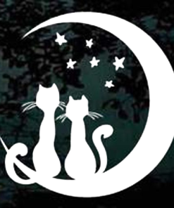 Cat Moon Stars decal Sticker