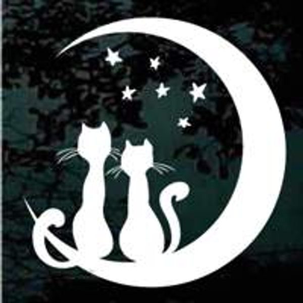 Cat Moon Stars decal sticker