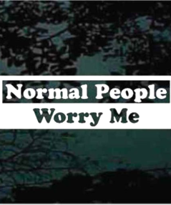 Normal people worry me window decal Sticker