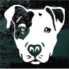 Pitbull Spot Head Face Decal Sticker