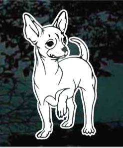 Chihuahua posing Decal StickerChihuahua posing Decal Sticker