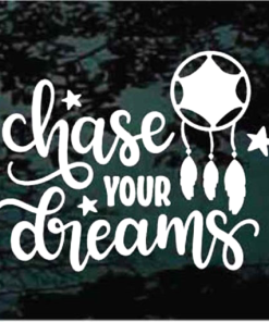 Chase your Dreams dreamcatcher window decal Sticker