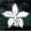 Orchid flower floral decal sticker