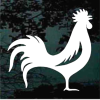 Rooster window decal Sticker