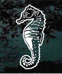 Seahorse Decal Sticker