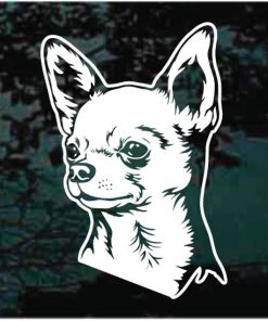 Apple head Chihuahua Head Dog Decal Sticker