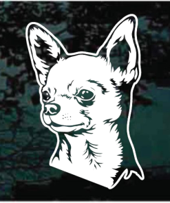 Apple head Chihuahua Head Decal Sticker