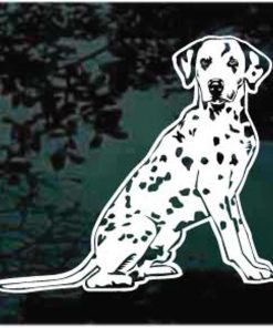 Dalmatian Dog Decal Sticker