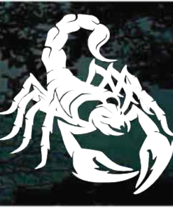Scorpion window decal Sticker