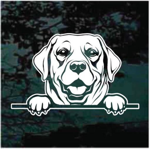 Labrador Retriever Peeking Dog Decal Sticker
