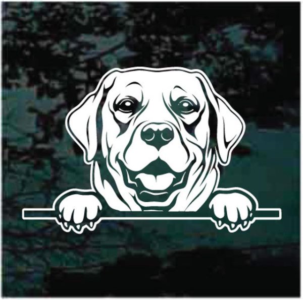 Labrador Retriever Peeking Decal Sticker For Cars And Trucks | Custom ...