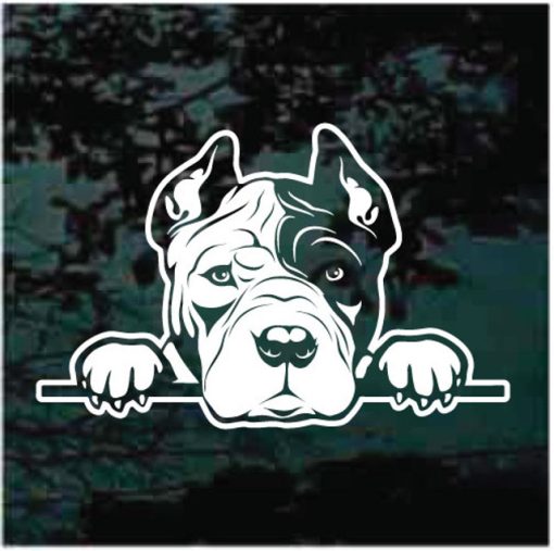 American Pitbull Peeking Dog Decal Sticker