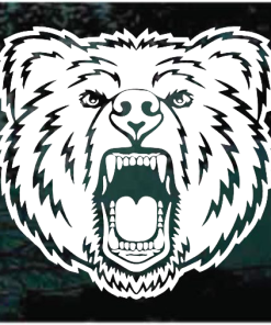 Bear Head window decal Sticker