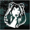 Collie Head Decal Sticker