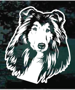 Collie Head Decal Sticker