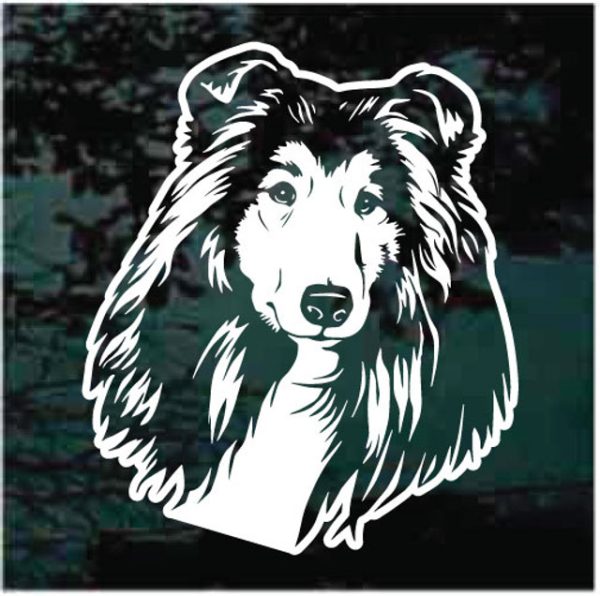 Collie Head Dog Decal Sticker