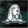 Bloodhound peeking Decal Sticker