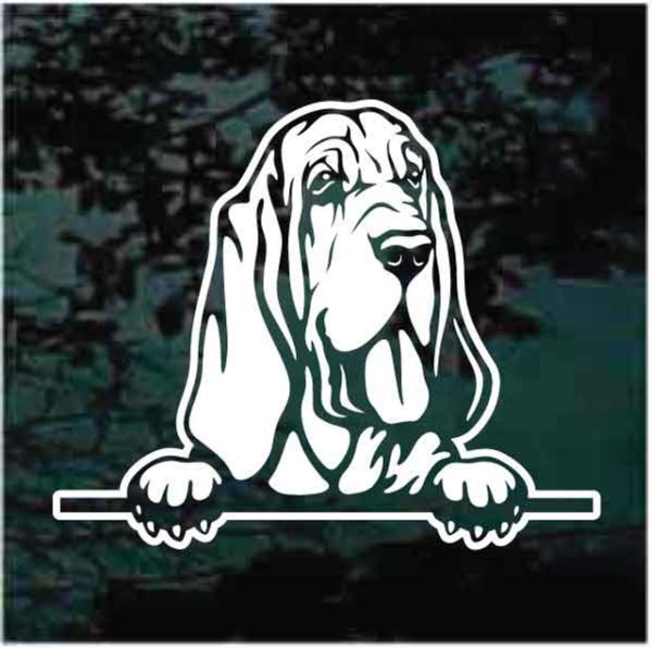Bloodhound peeking Dog Decal Sticker