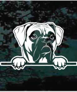 Boxer Peeking Dog Decal Sticker