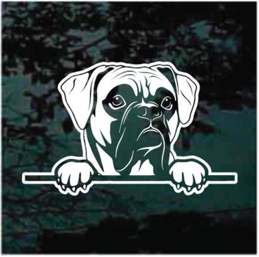 Boxer Peeking Dog Decal Sticker