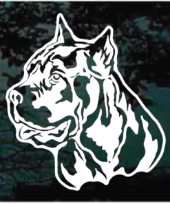 Cane corso italian mastiff head Decal Sticker