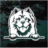Chow Dog Peeking Decal Sticker